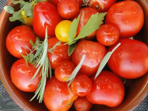 tomato-harvest-660628_960_720