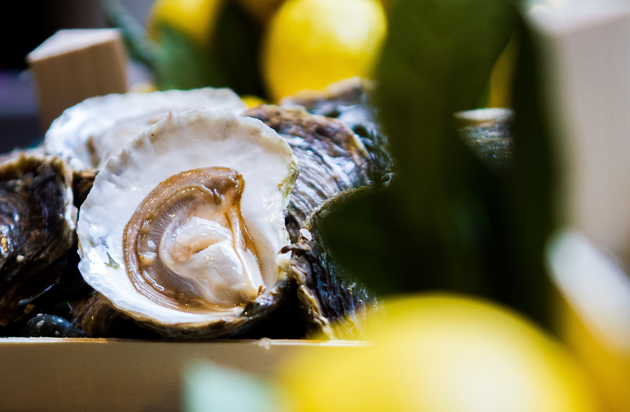 OYSTERS OF THE WORLD